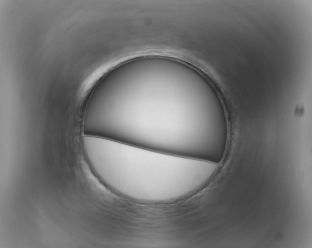 X0000113961504200909251014