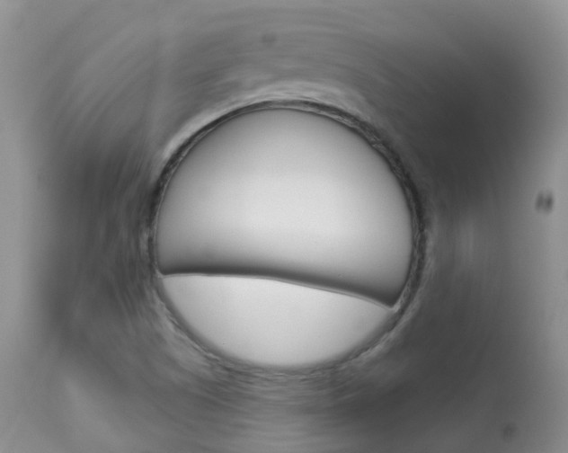 X0000113961505200909251014