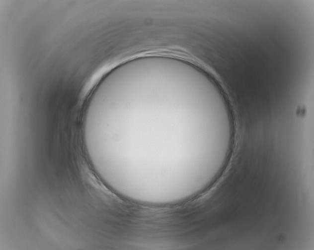 X0000113961506200909251014