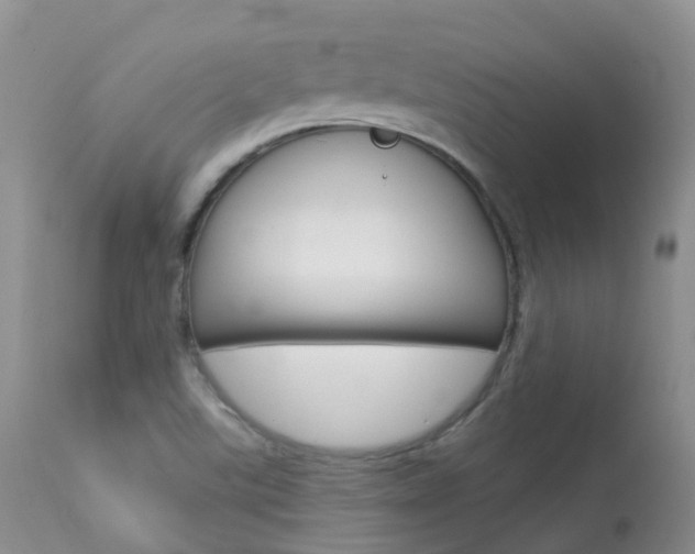 X0000113961507200909251014