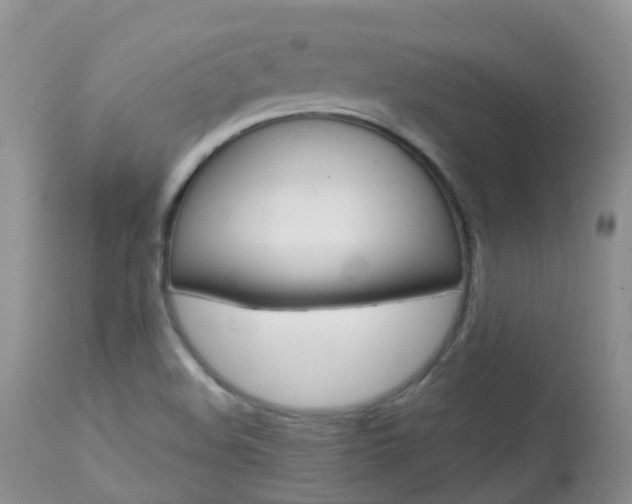 X0000113961508200909251014