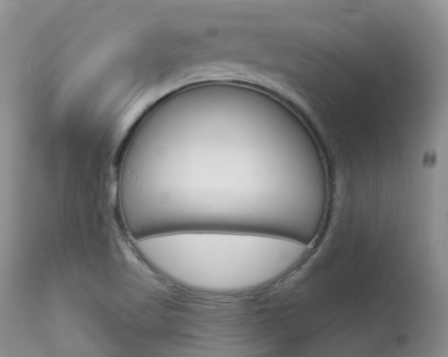 X0000113961509200909251014