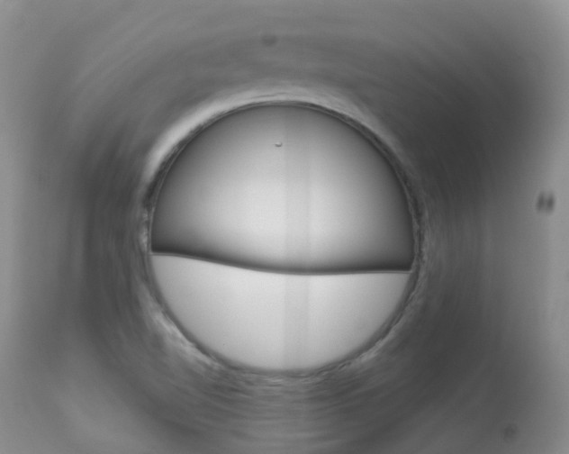X0000113961510200909251014
