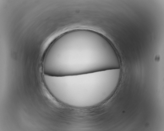 X0000113961511200909251014