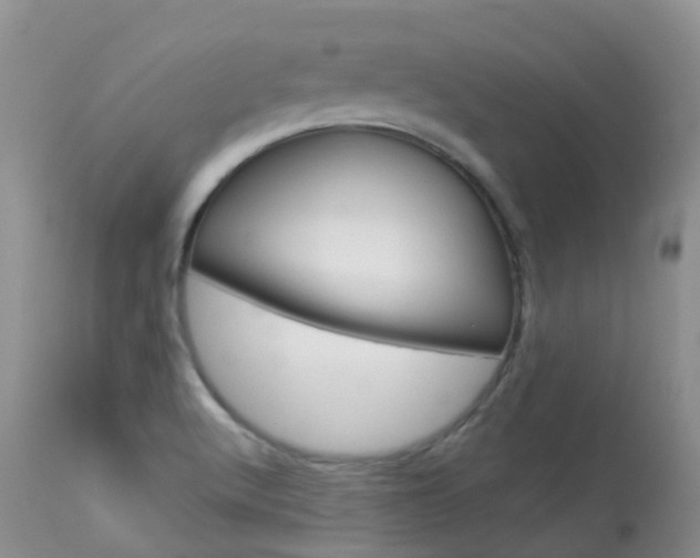 X0000113961512200909251014