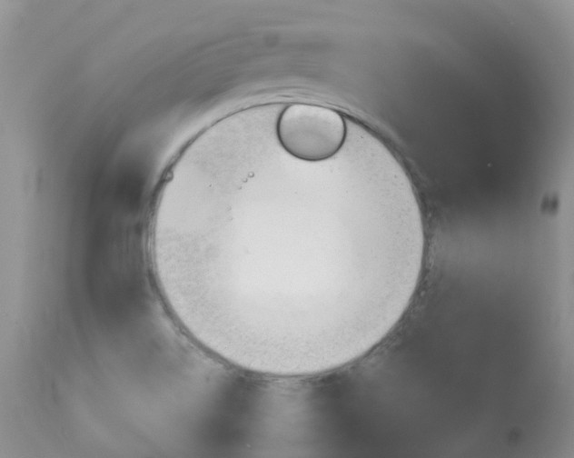 X0000113961514200909251014