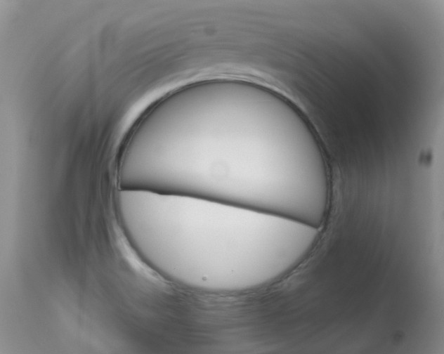 X0000113961515200909251014
