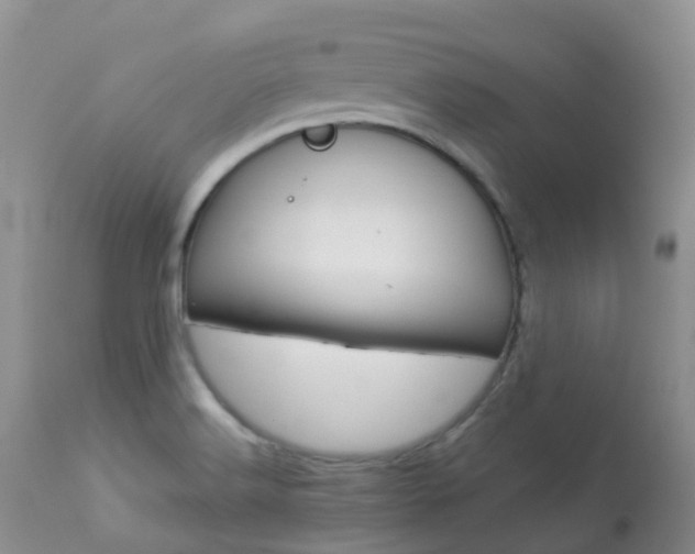 X0000113961516200909251014