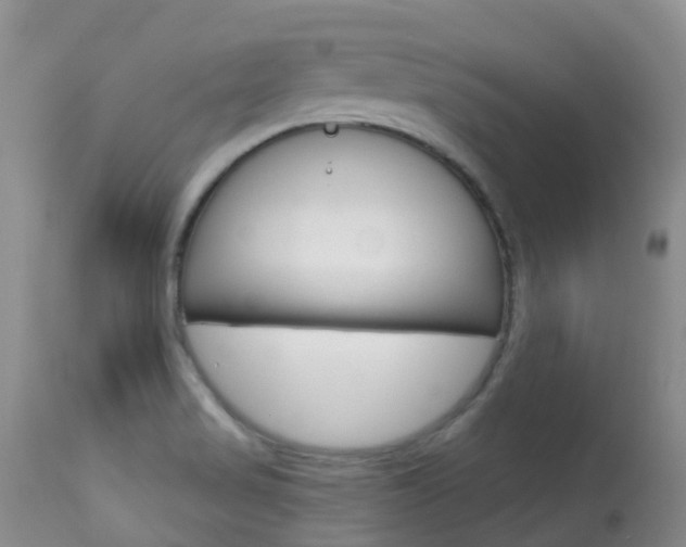 X0000113961517200909251014
