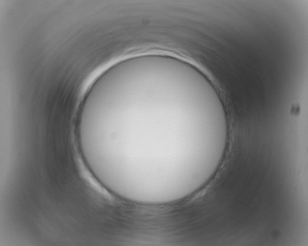 X0000113961518200909251014