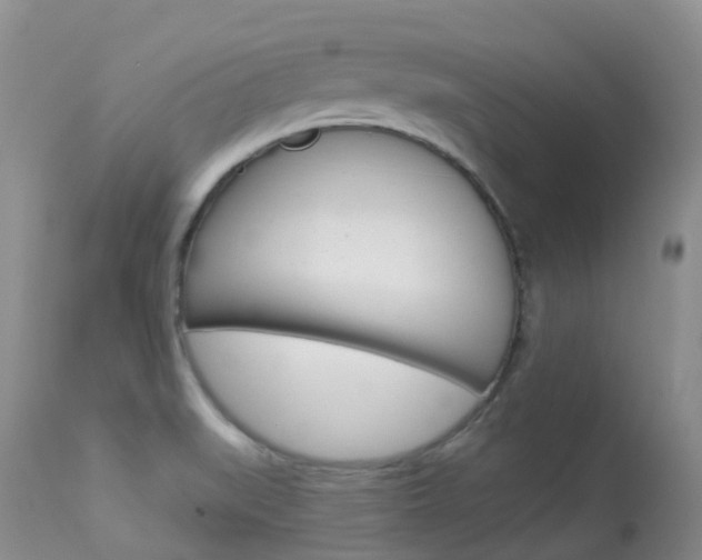 X0000113961519200909251014