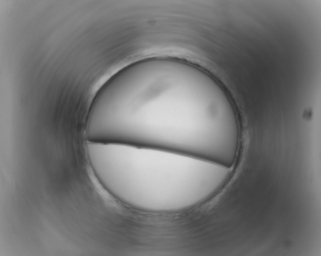 X0000113961521200909251014