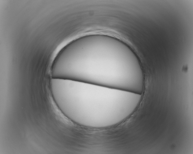 X0000113961522200909251014