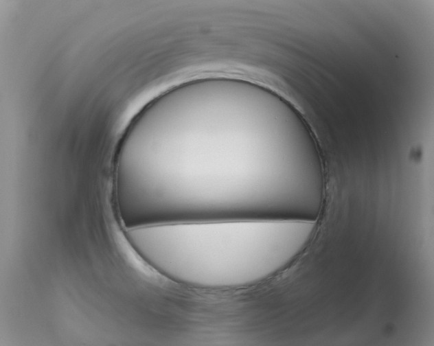 X0000113961523200909251014