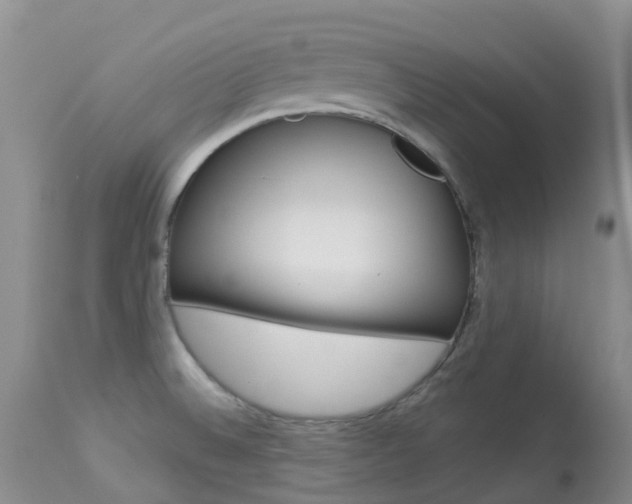 X0000113961524200909251014