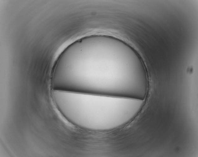 X0000113961525200909251014