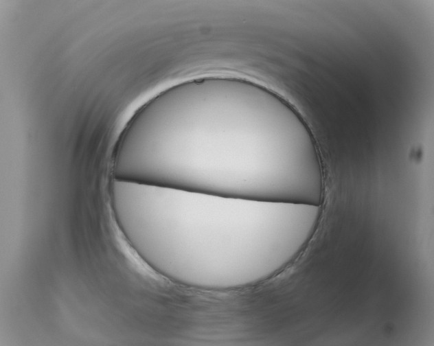 X0000113961526200909251014