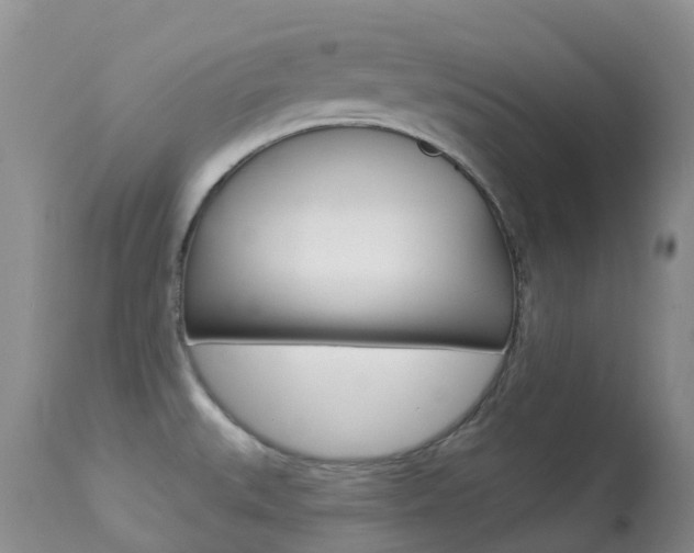 X0000113961527200909251014