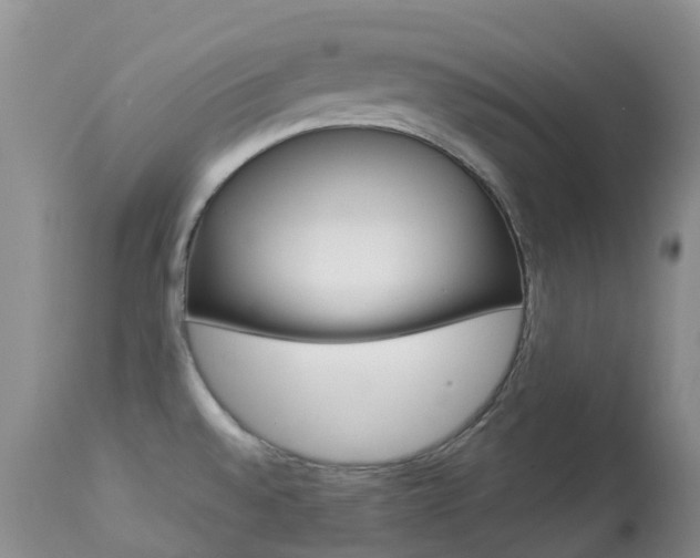 X0000113961528200909251014