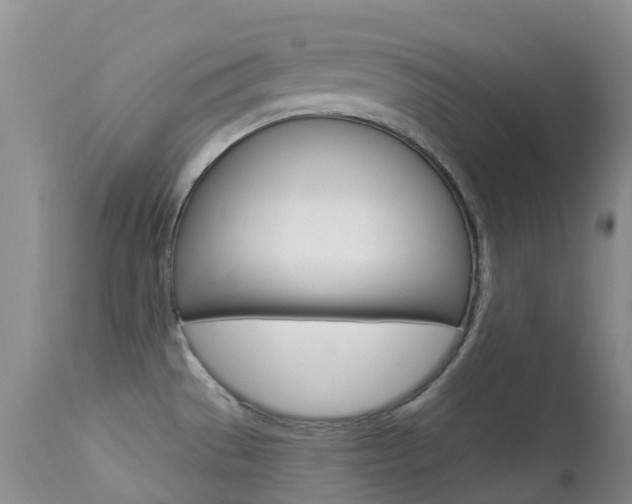 X0000113961529200909251014
