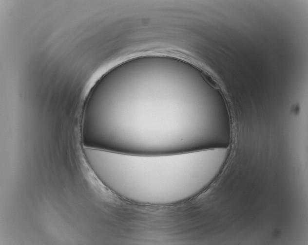 X0000113961530200909251014
