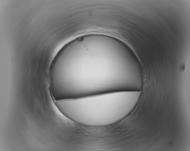 X0000113961531200909251014
