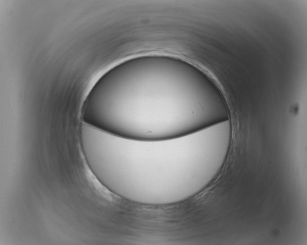 X0000113961532200909251015