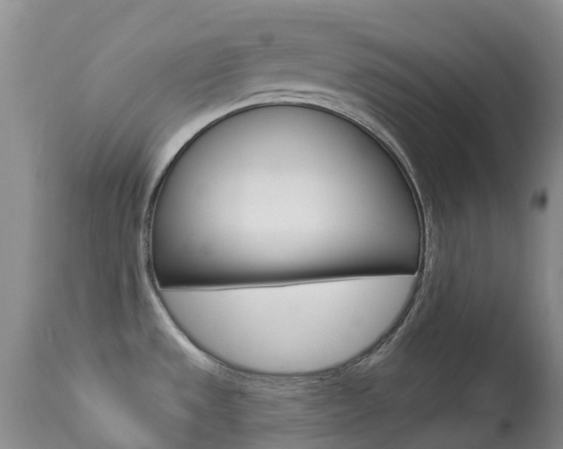 X0000113961533200909251015