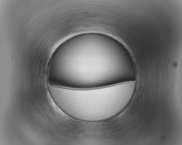 X0000113961534200909251015