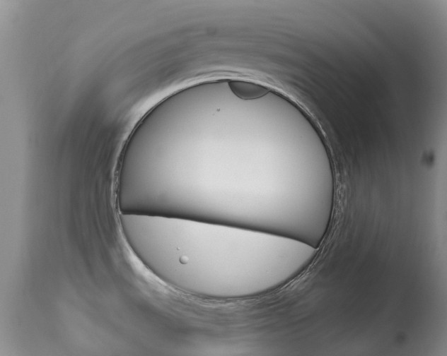 X0000113961535200909251015