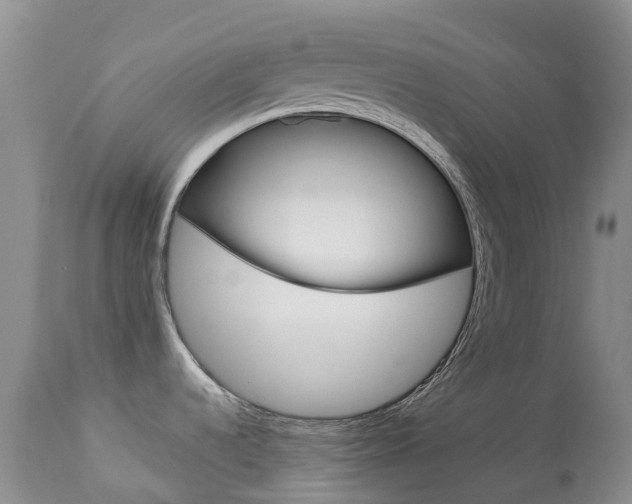 X0000113961536200909251015