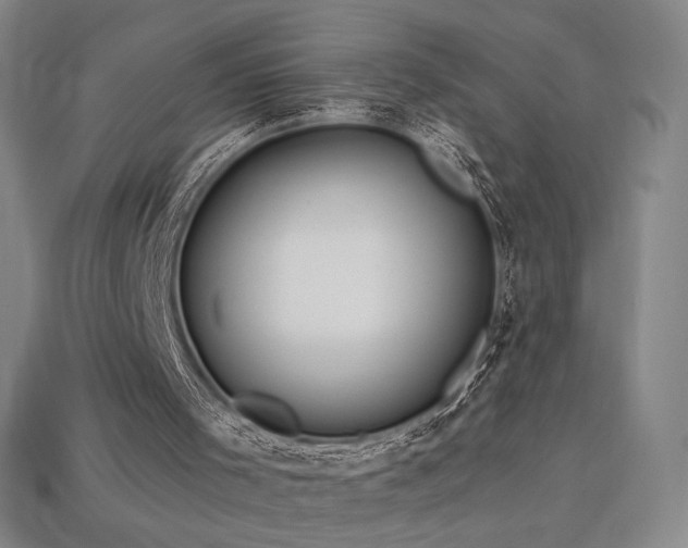 X0000113960001200909251410