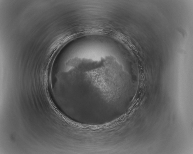 X0000113960002200909251410