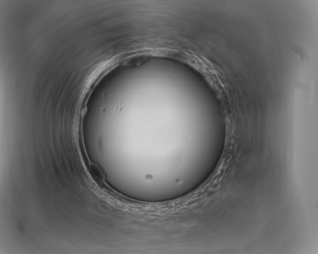 X0000113960003200909251410