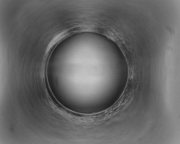 X0000113960004200909251410