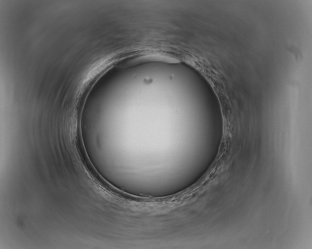 X0000113960005200909251410