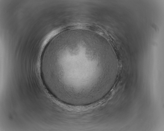 X0000113960006200909251410