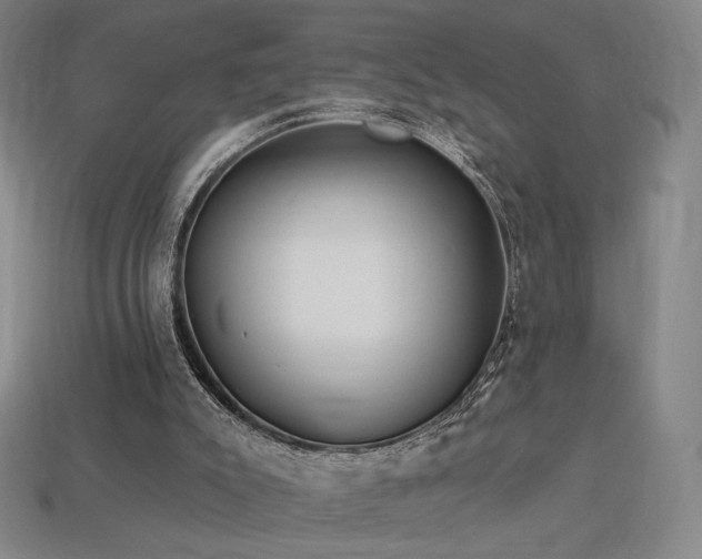 X0000113960007200909251410