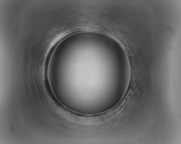 X0000113960008200909251410