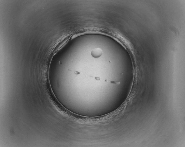 X0000113960009200909251410