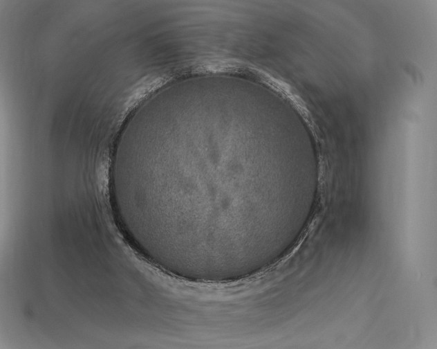 X0000113960010200909251410