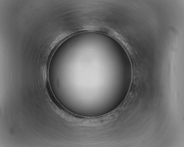 X0000113960011200909251410