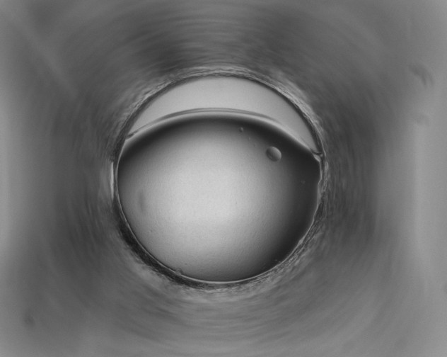 X0000113960013200909251410