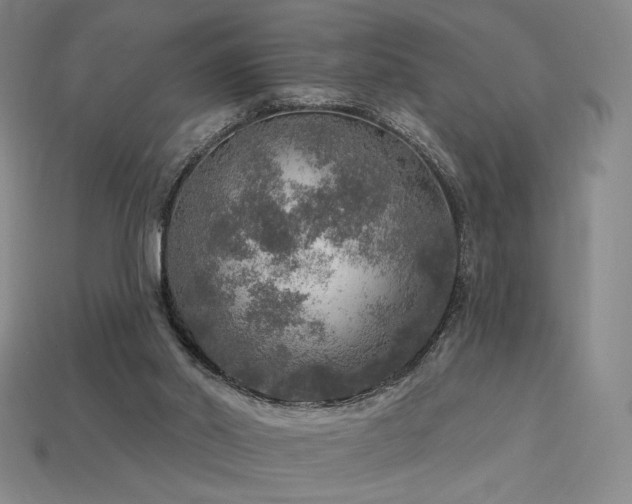 X0000113960014200909251410