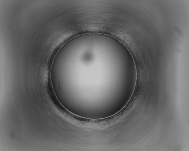 X0000113960016200909251410