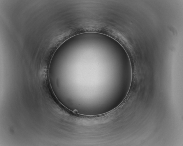 X0000113960017200909251410