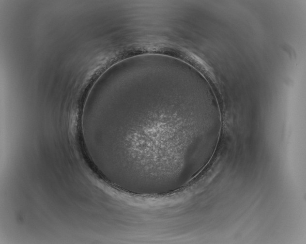 X0000113960018200909251410