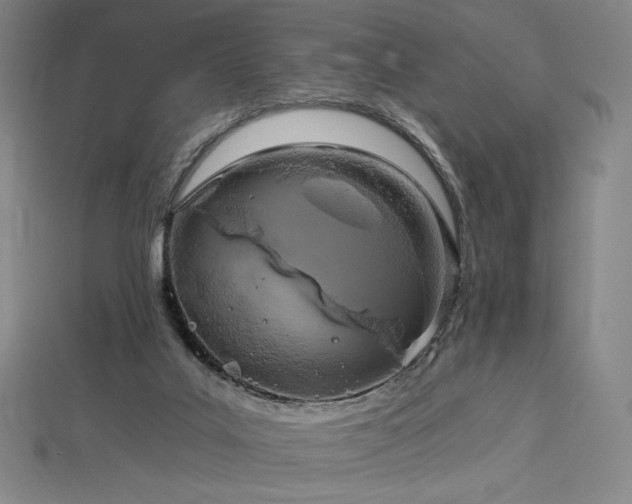 X0000113960019200909251410