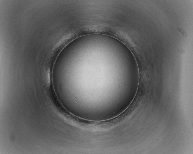 X0000113960020200909251410