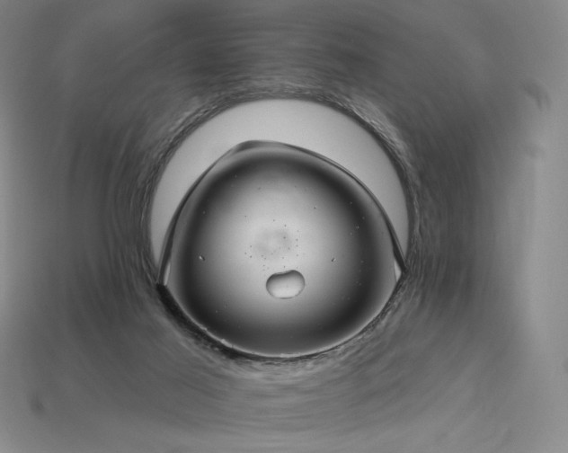 X0000113960021200909251410